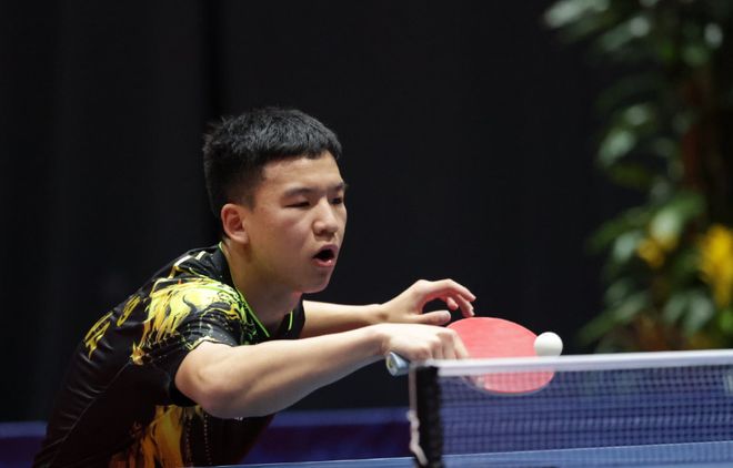 轻运动员树 轻运动员树